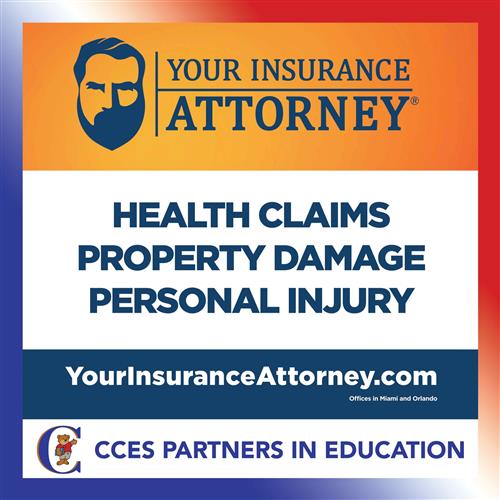Insurance Attorney